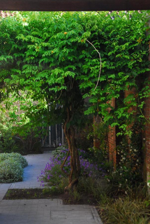 Nostra Signora Bed & Breakfast Brugge Ngoại thất bức ảnh